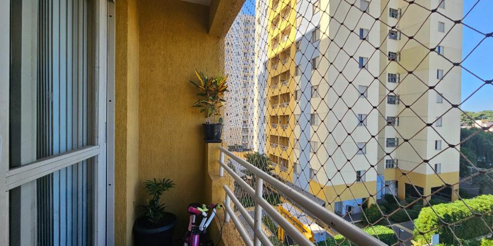 photo_4